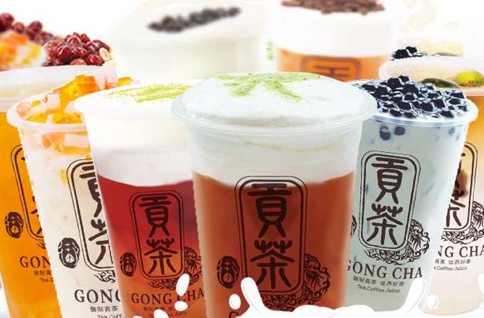 镇沅贡茶培训